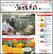 沖縄土産のことなら沖縄専科へどうぞ！